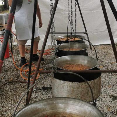 364263739 686591166658509 4170730977293358972 N