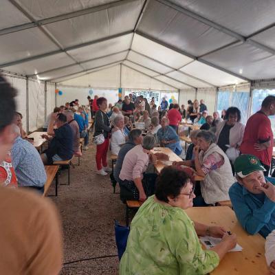 364355781 1556512978512671 6484363040549483502 N