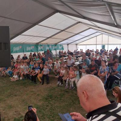 370212288 847060050164680 2293946512505245882 N