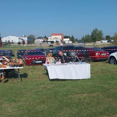 387502266 831090712141581 3161914085801041686 N