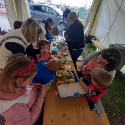 434131156 3795150077477860 8633690560478605405 N